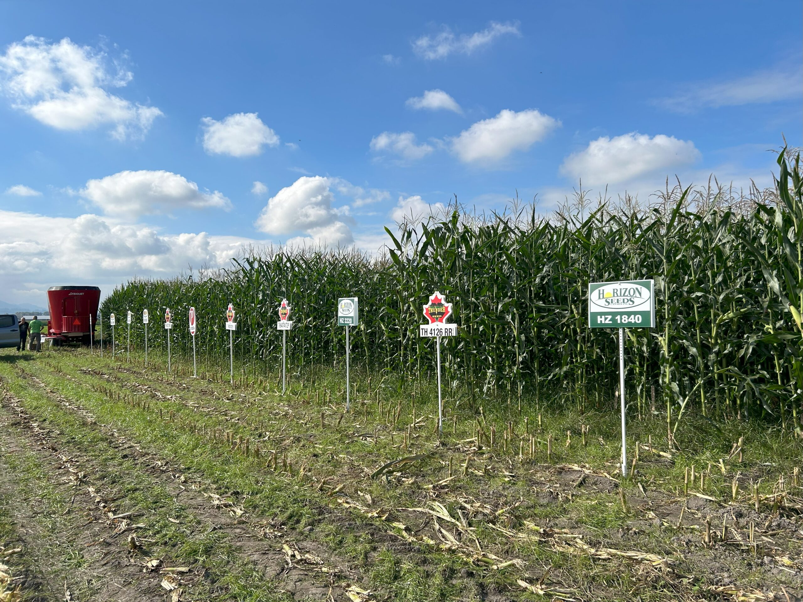 CornTrial6 CornTrial6