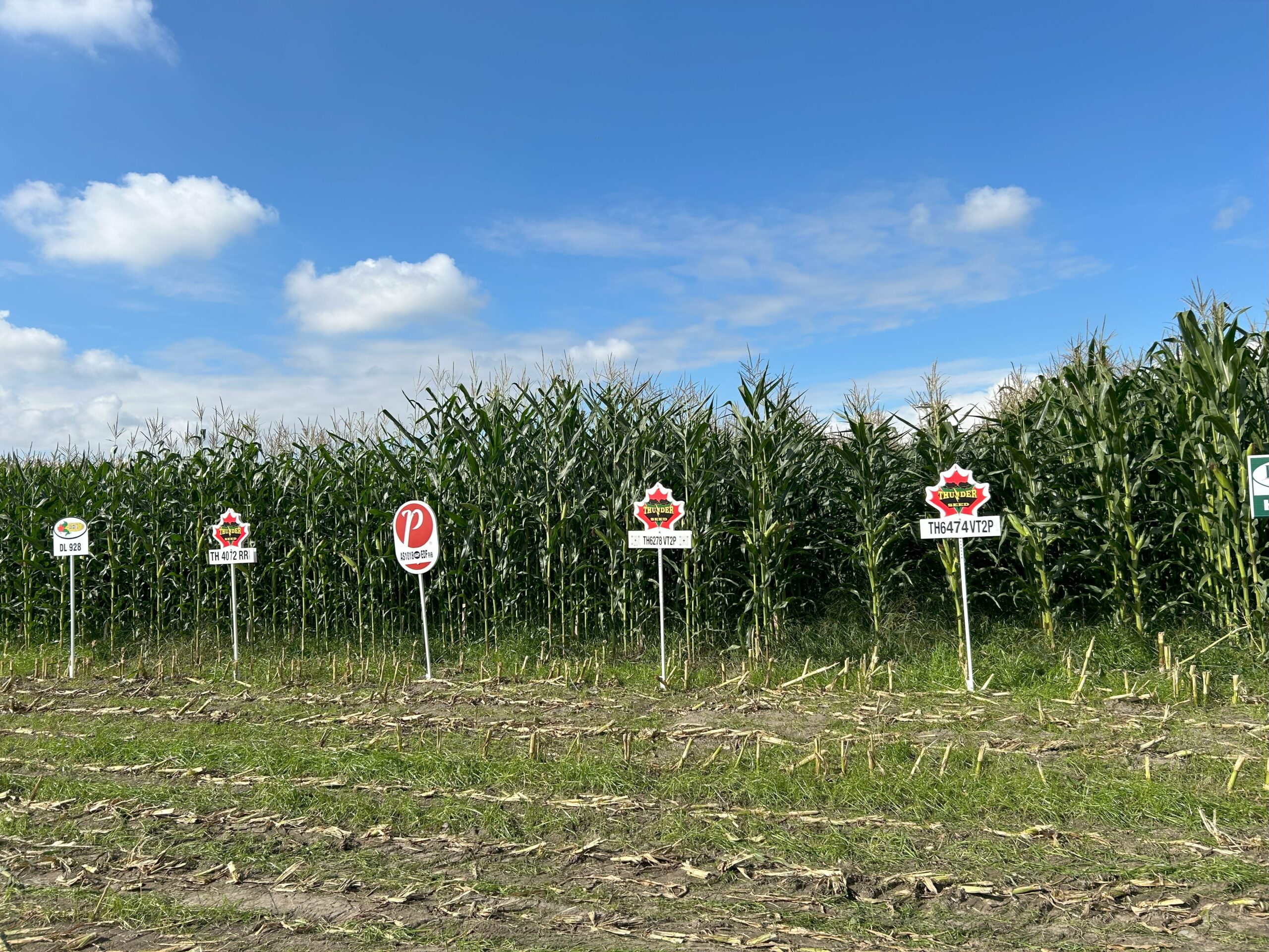 CornTrial8 CornTrial8